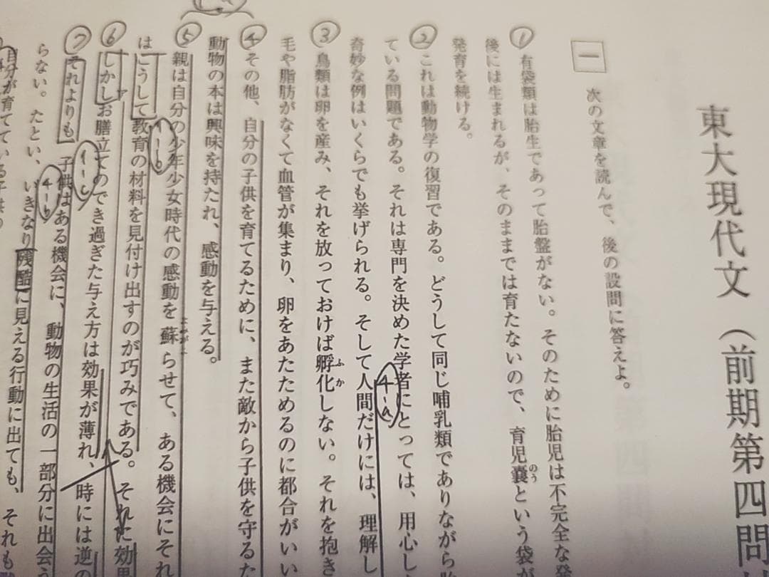 東進　林修先生による東大特進東大現代文通年分フルセット　駿台　河合塾　鉄緑会