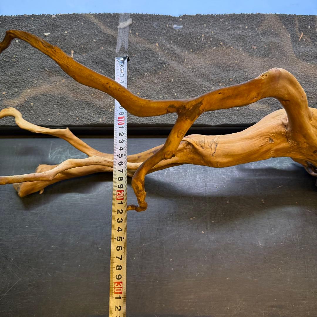 MDW-6921 特大ブランチウッド　流木　枝流木　アクアリウム