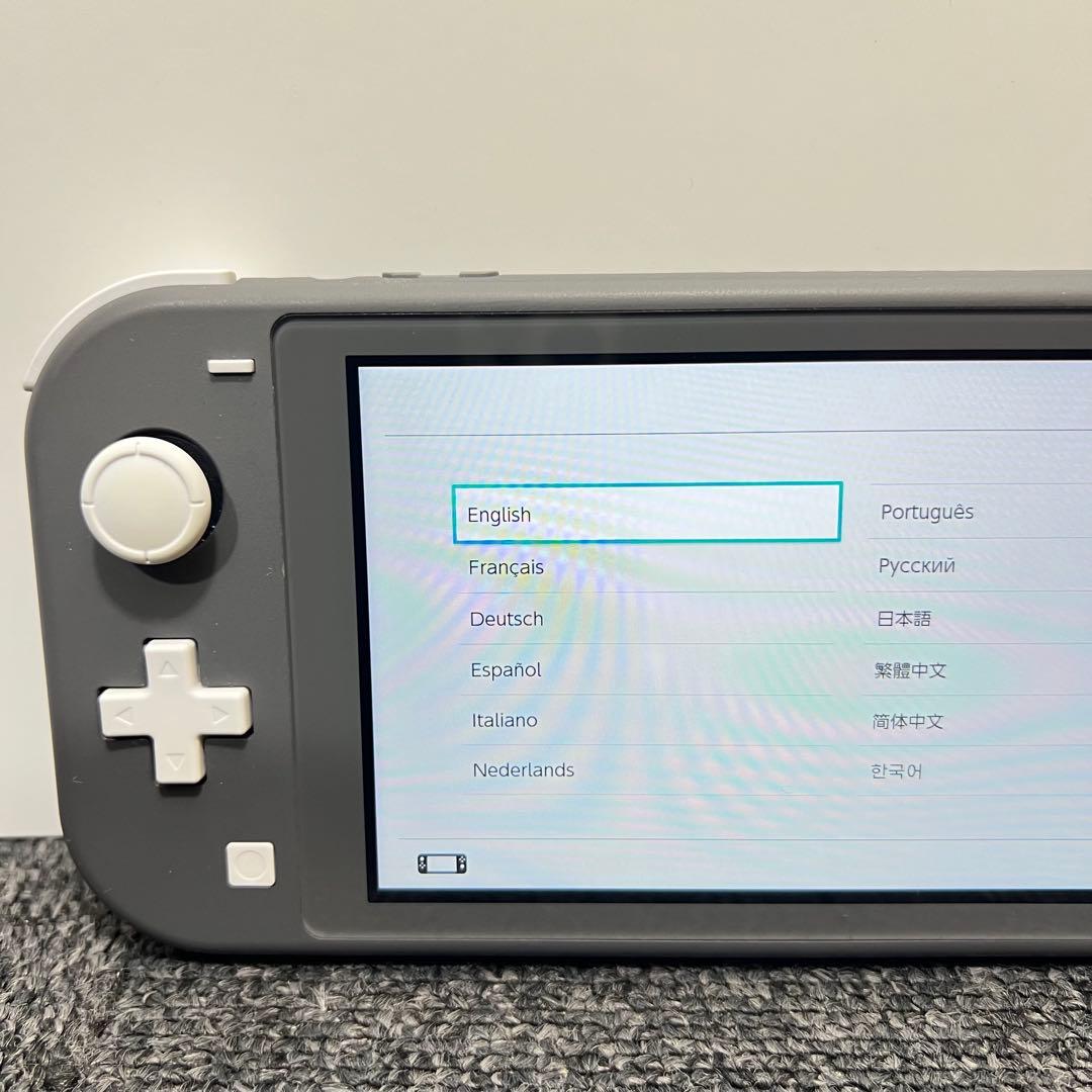 ひ*ん様 スイッチライト SwitchLite グレー 本体 2024年製 完品