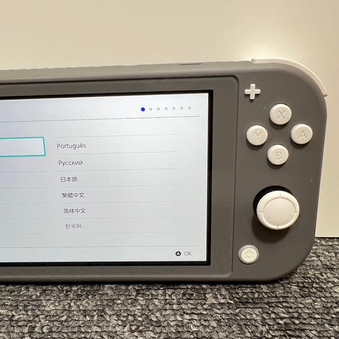 ひ*ん様 スイッチライト SwitchLite グレー 本体 2024年製 完品