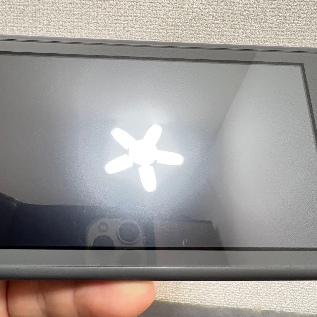 ひ*ん様 スイッチライト SwitchLite グレー 本体 2024年製 完品