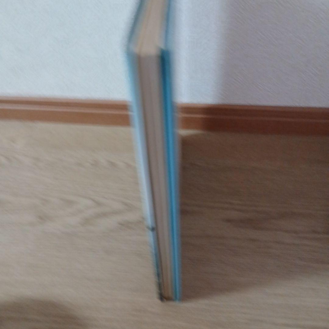 写真家ジョエル・マイヤーウィッツの作品集『A Summer's Day』(洋書)