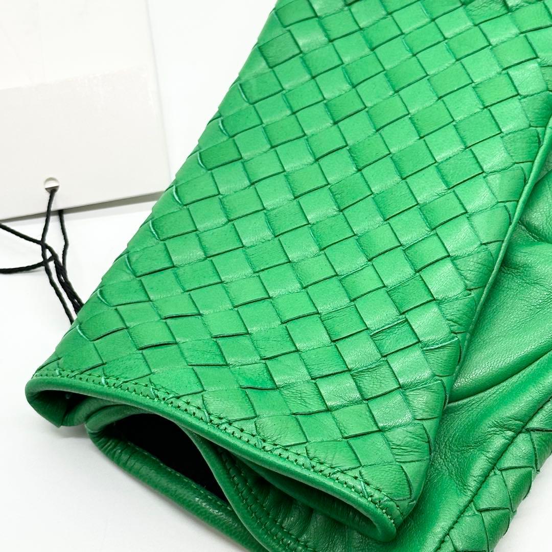 【新品未使用】BOTTEGA VENETA 手袋　ナッパレザー　パラキート