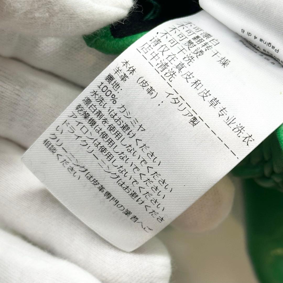 【新品未使用】BOTTEGA VENETA 手袋　ナッパレザー　パラキート