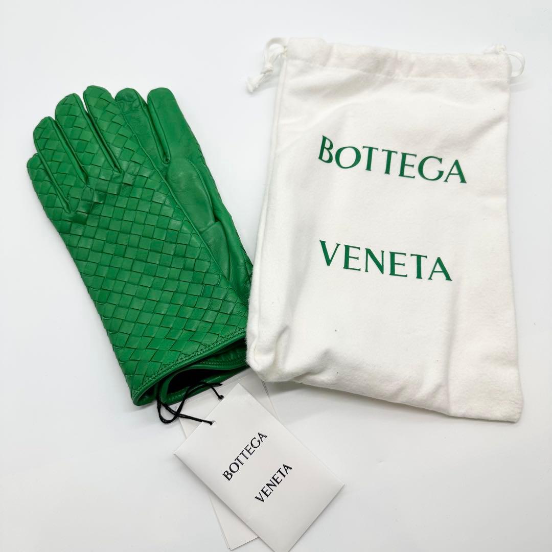 【新品未使用】BOTTEGA VENETA 手袋　ナッパレザー　パラキート