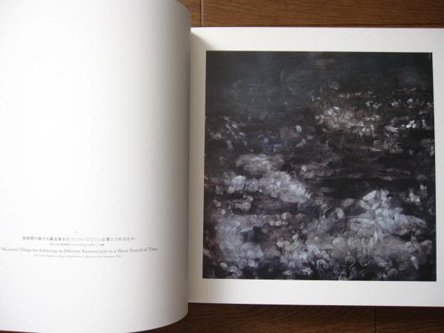 特装版 松井冬子 画集　直筆サイン入り