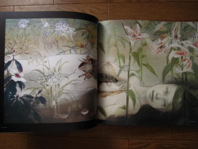 特装版 松井冬子 画集　直筆サイン入り