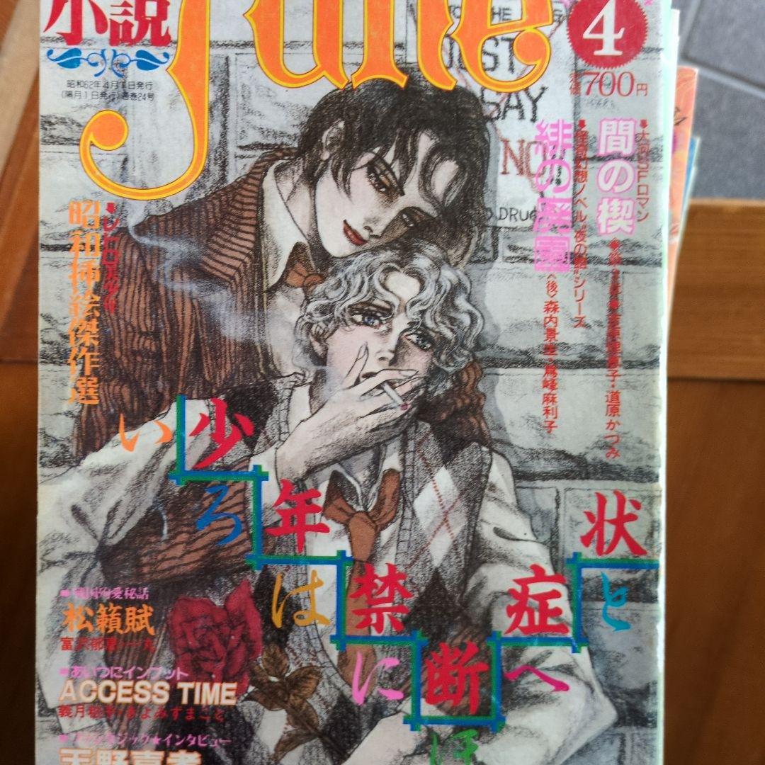 小説June 1984年No.24〜37