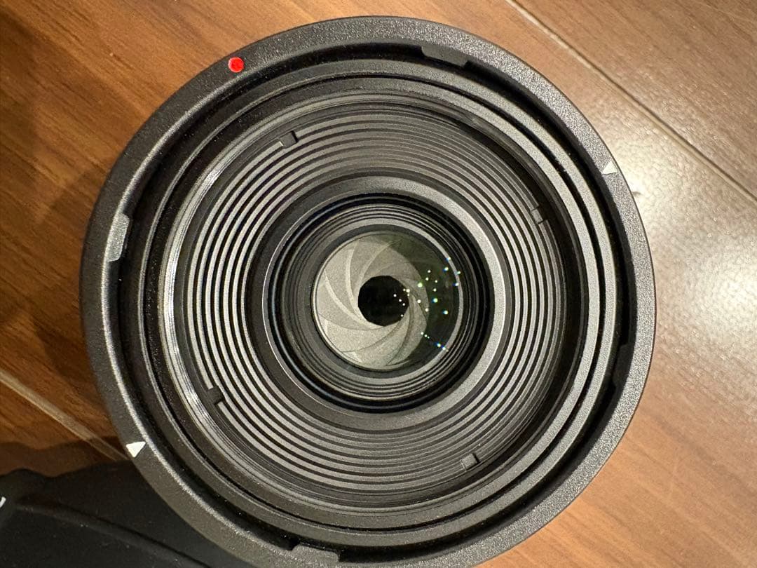 Canon RF35mm F1.8 MACRO IS STM レンズ フード付き