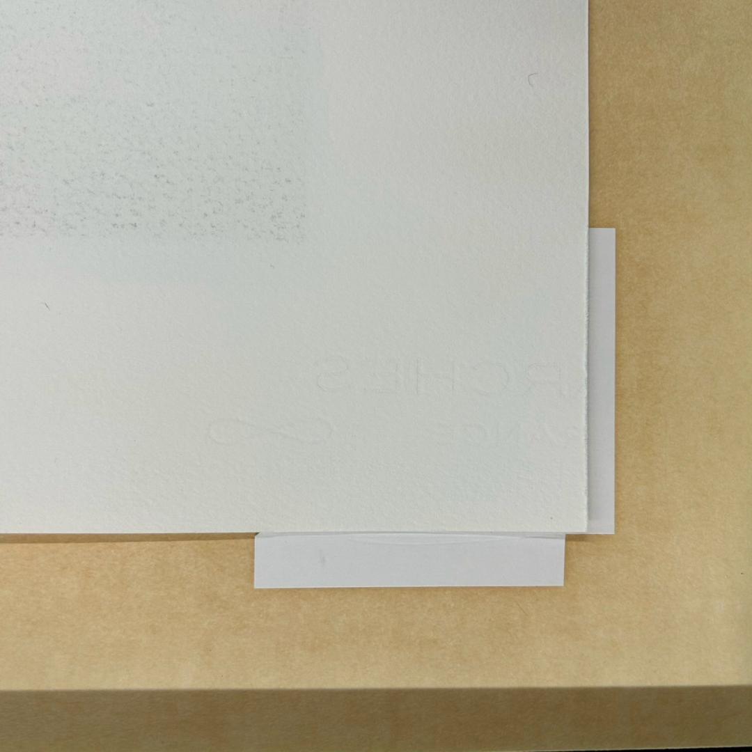 美品 中島千波「ポインセチア」リトグラフ 直筆サイン・落款有 額縁入り 日本画家