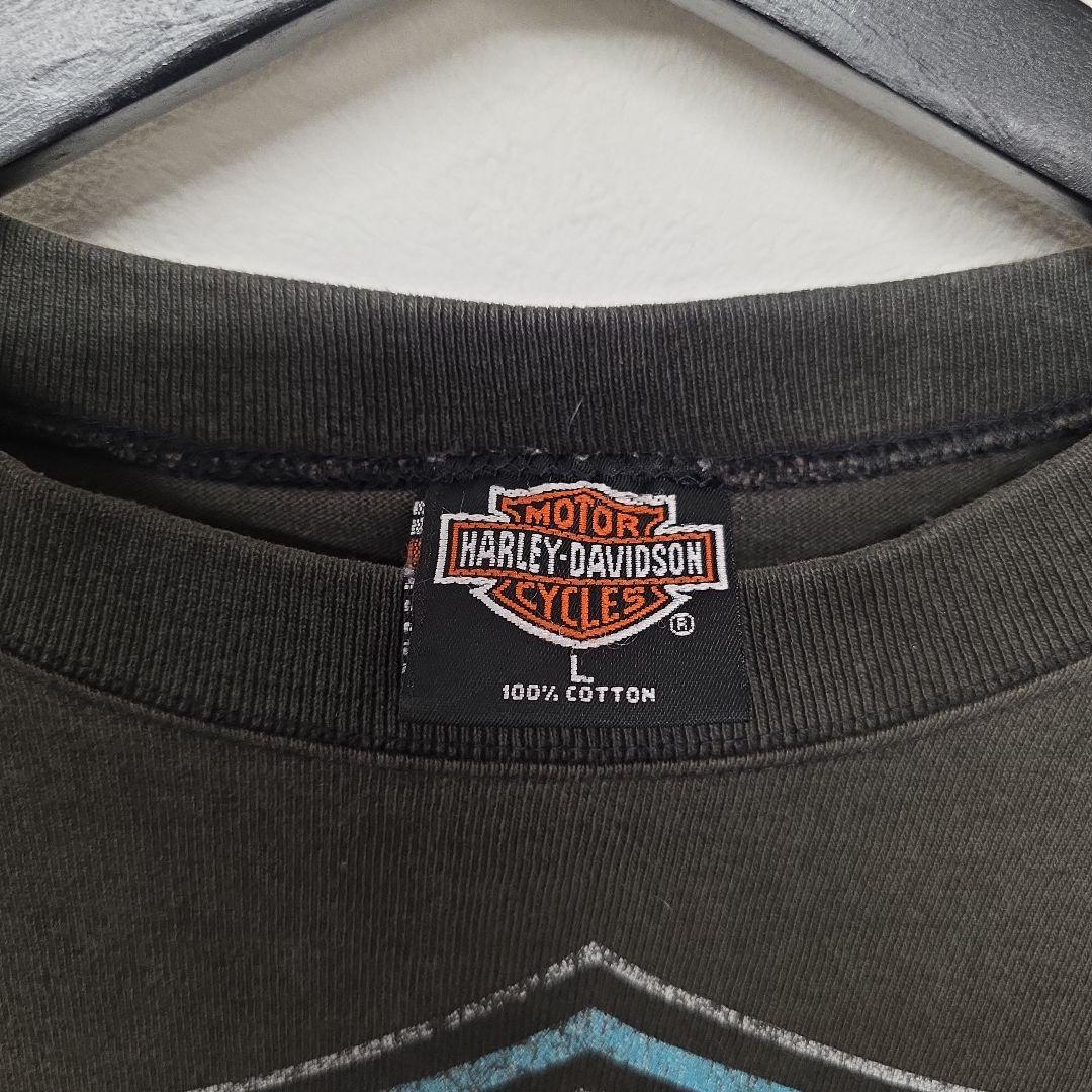 1996年コピーライト入　USA製　ハーレーダビッドソン　ターコイズファイヤー