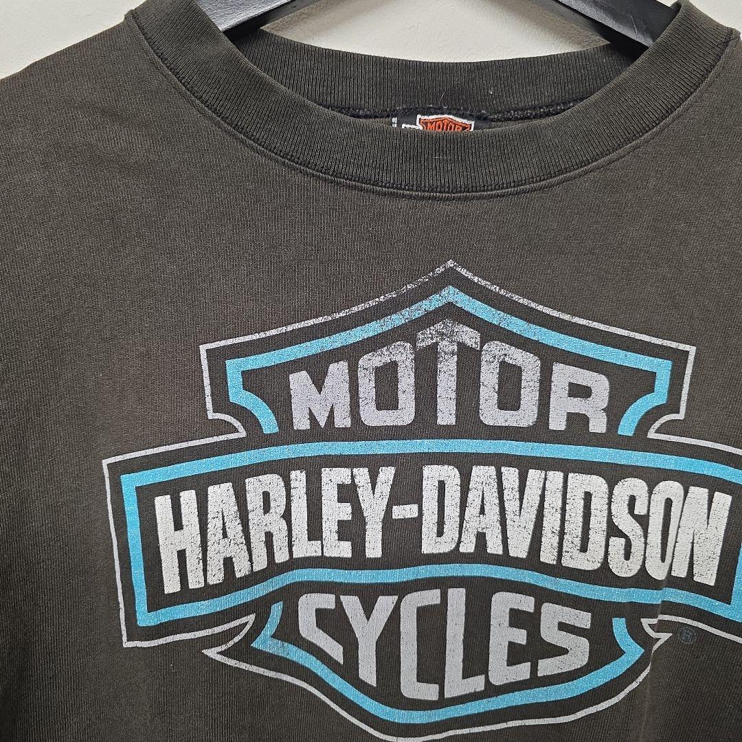 1996年コピーライト入　USA製　ハーレーダビッドソン　ターコイズファイヤー