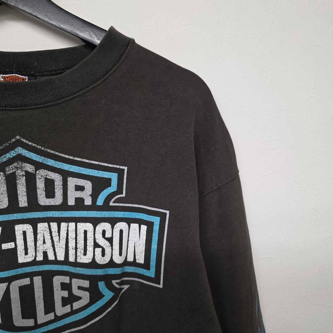 1996年コピーライト入　USA製　ハーレーダビッドソン　ターコイズファイヤー