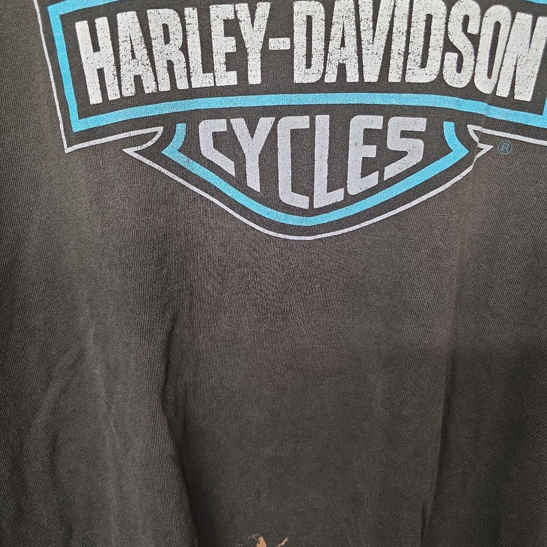 1996年コピーライト入　USA製　ハーレーダビッドソン　ターコイズファイヤー