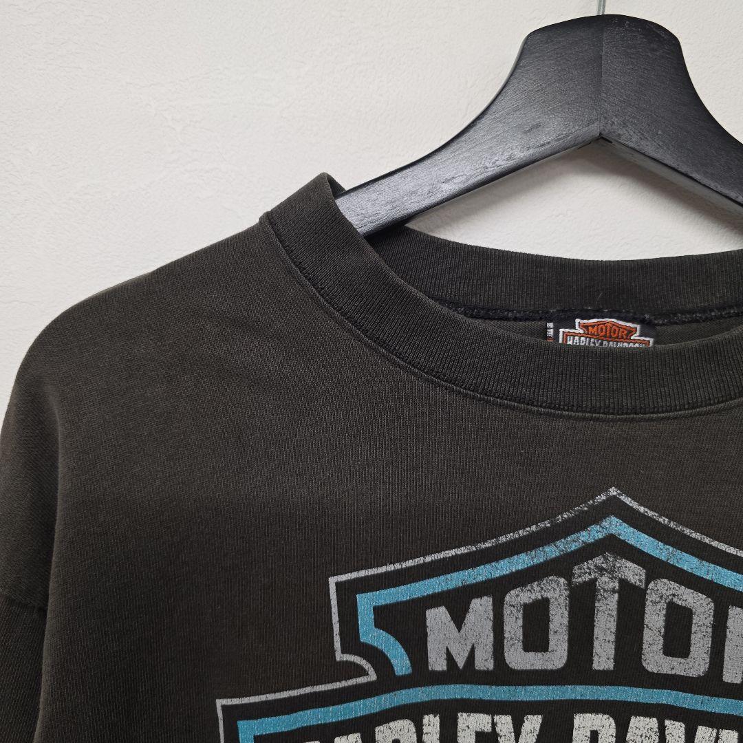 1996年コピーライト入　USA製　ハーレーダビッドソン　ターコイズファイヤー