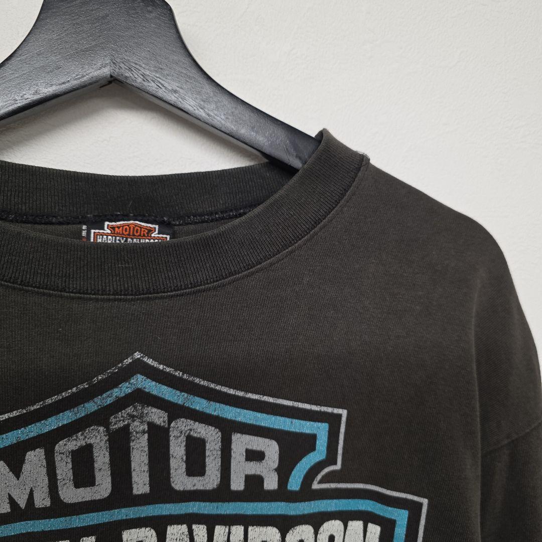 1996年コピーライト入　USA製　ハーレーダビッドソン　ターコイズファイヤー