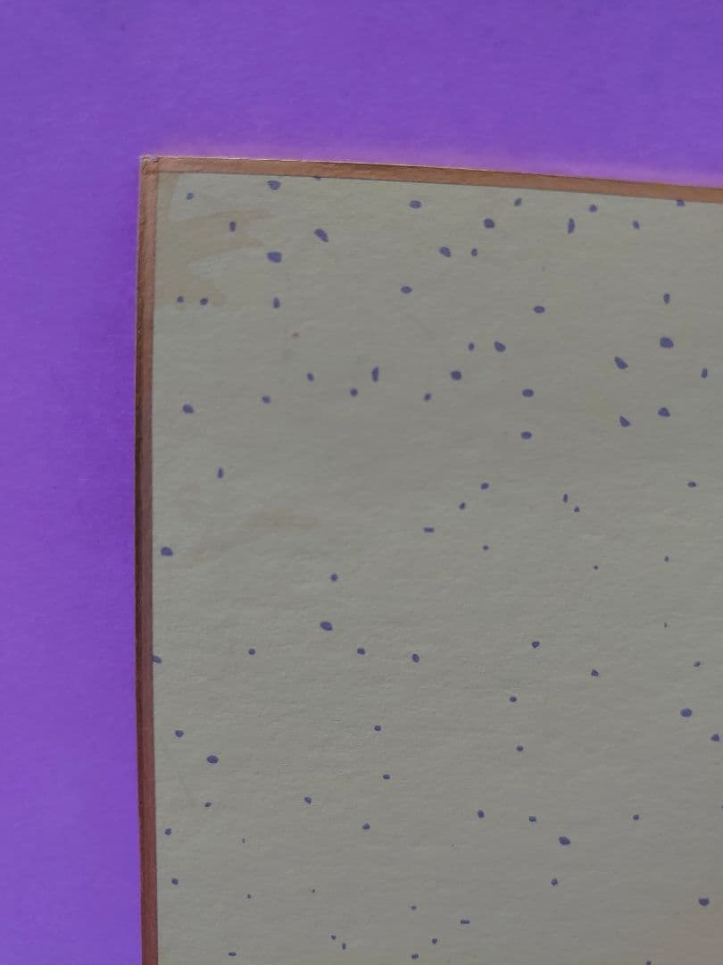 岡田可愛 直筆サイン色紙 & 毎日夫人 No.179