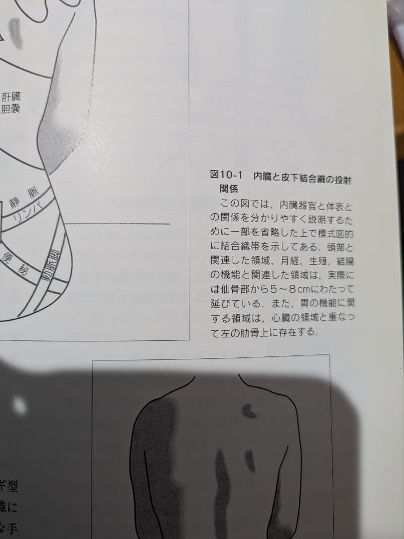 写真でみる医療マッサージ