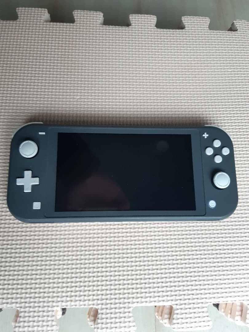 Nintendo Switch Lite 本体のみ 動作品