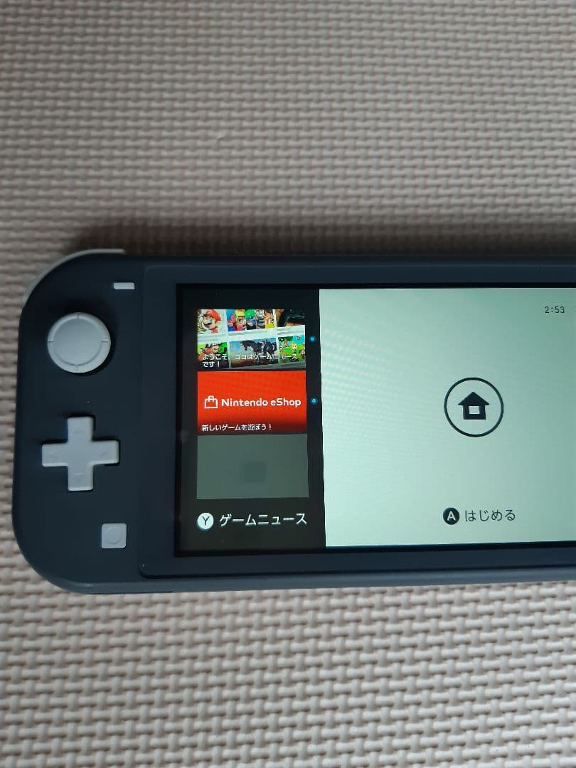 Nintendo Switch Lite 本体のみ 動作品