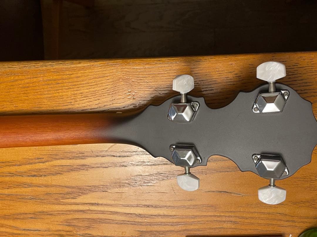 Blanton 五弦バンジョー オープンバック　お値打ち！キャリングバッグ付