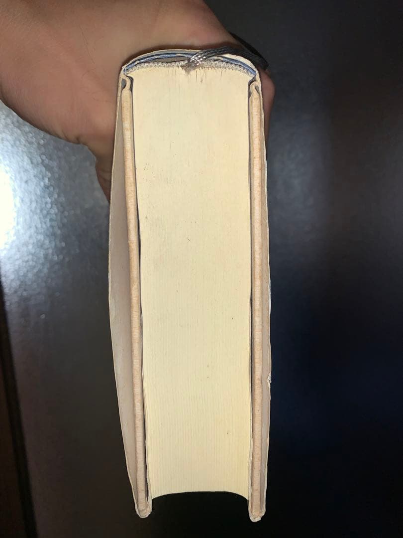 クリティカル・パス : 人類の生存戦略と未来への選択