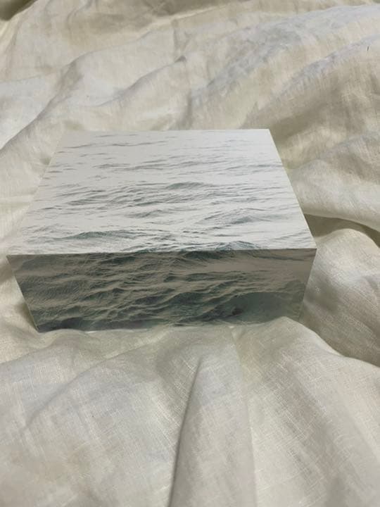 サカナクション　Live DVD