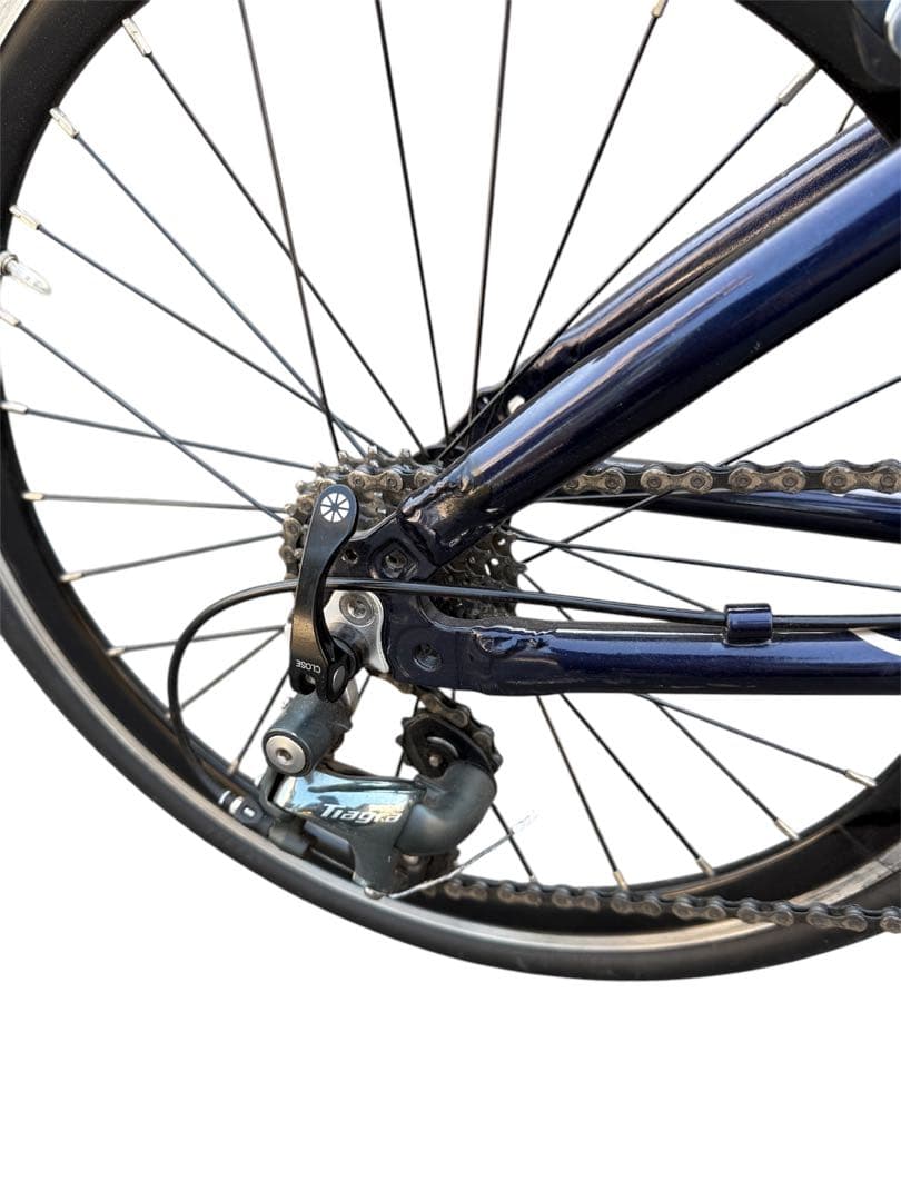 DAHON Visc Pro 美品