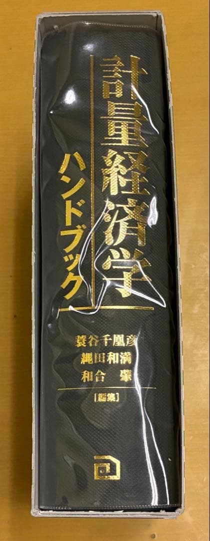 計量経済学 ハンドブック 朝倉書店