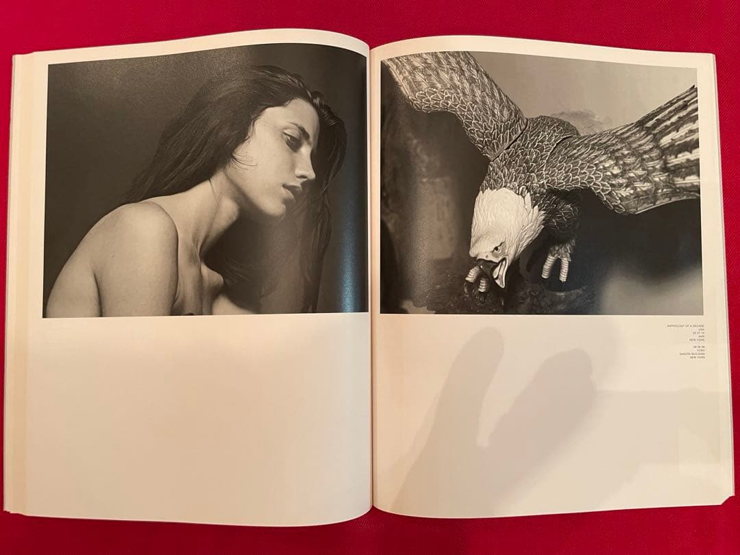 エディスリマン絶版希少Anthology of a Decade写真集3冊セット