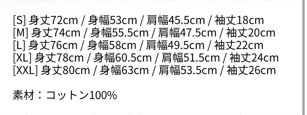 レディー・ガガ　コンサート　Tシャツ　XLサイズ