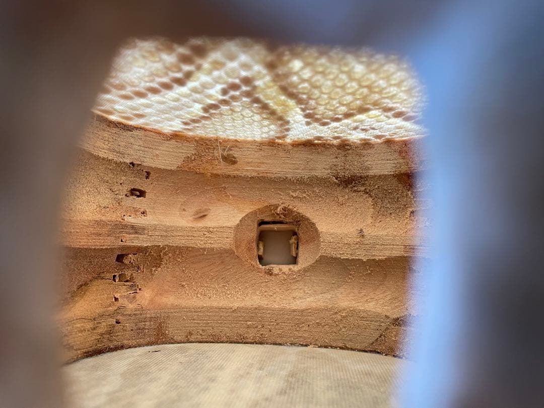 縞黒檀/カマゴン棹 強化張り・蛇皮三線