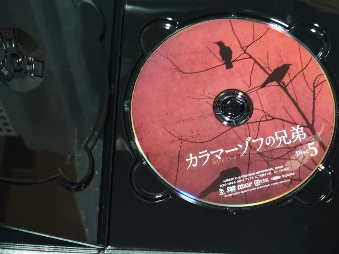 松下洸平 「カラマーゾフの兄弟」 DVD　BOX