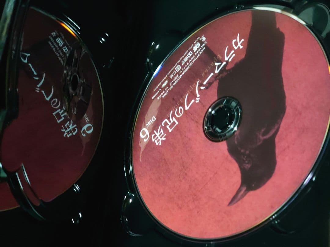 松下洸平 「カラマーゾフの兄弟」 DVD　BOX