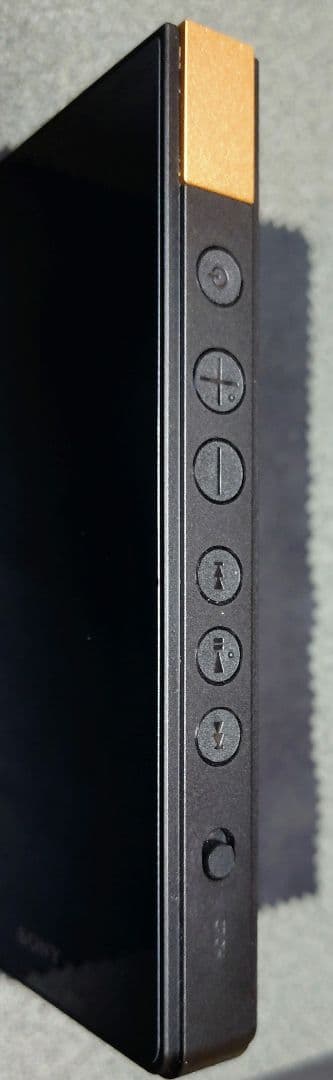 SONY WALKMAN NW-ZX707 純正ケース おまけ付き。