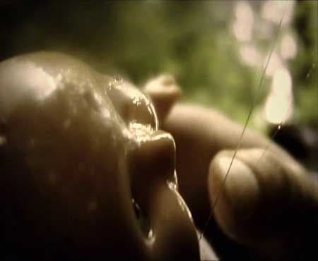 【廃盤】Melancholie der Engel DVD　ホラー グロテスク