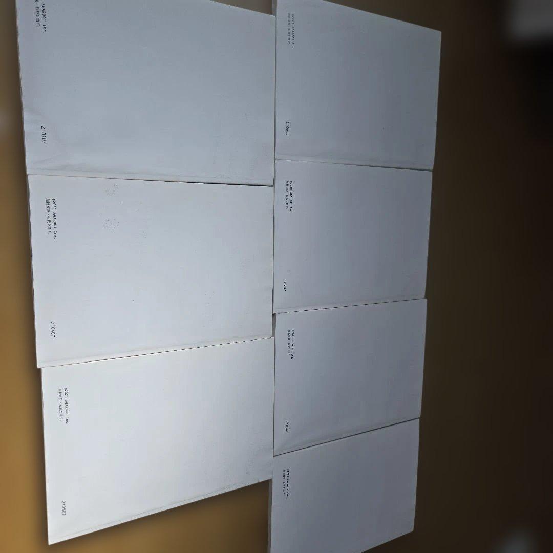 2021アガルート論文答案の書き方(全科目)憲民刑商民訴刑訴行政法予備司法試験