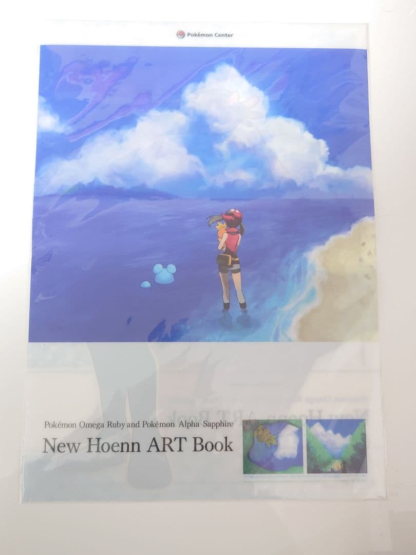 ポケモンオメガルビー・アルファサファイア　New Hoenn ART Book