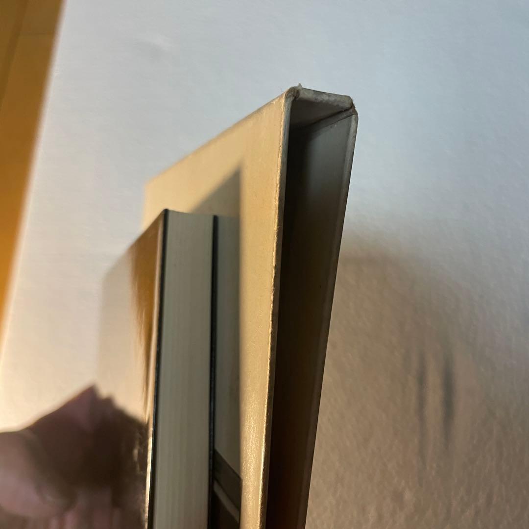 既視の街 金井美恵子／渡辺兼人