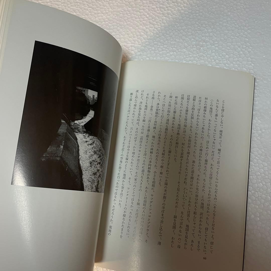 既視の街 金井美恵子／渡辺兼人