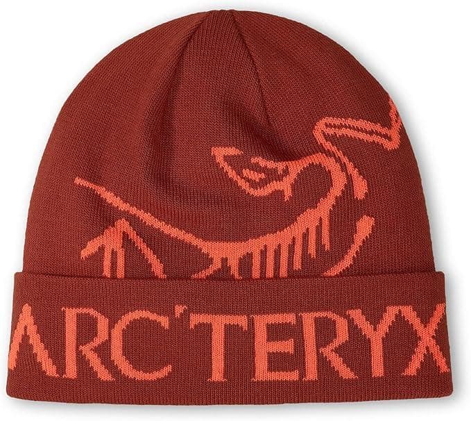 新品 アークテリクス バードワード トーク Sequoia 廃盤カラー