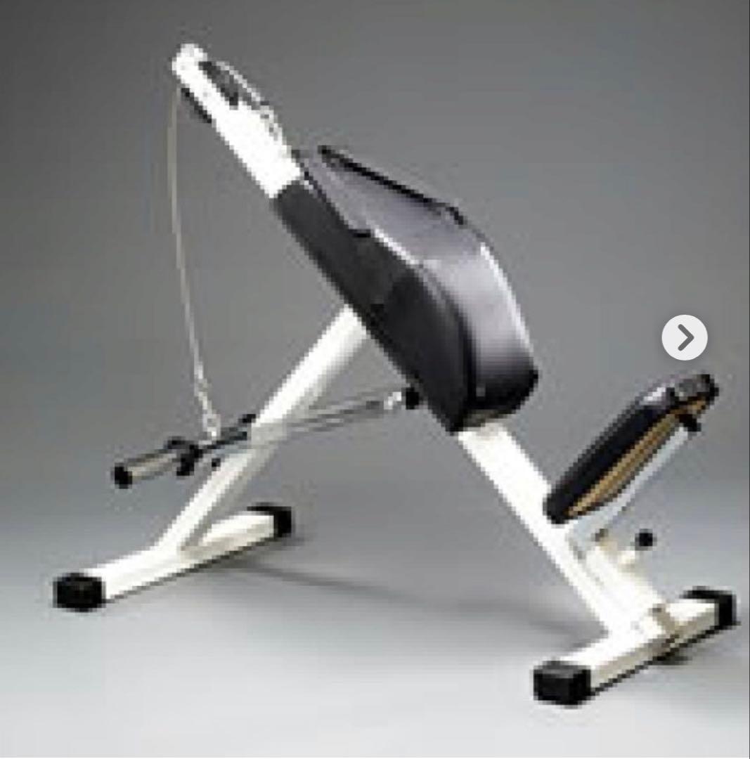 アブベンチタイプG(業務用) 送料込み