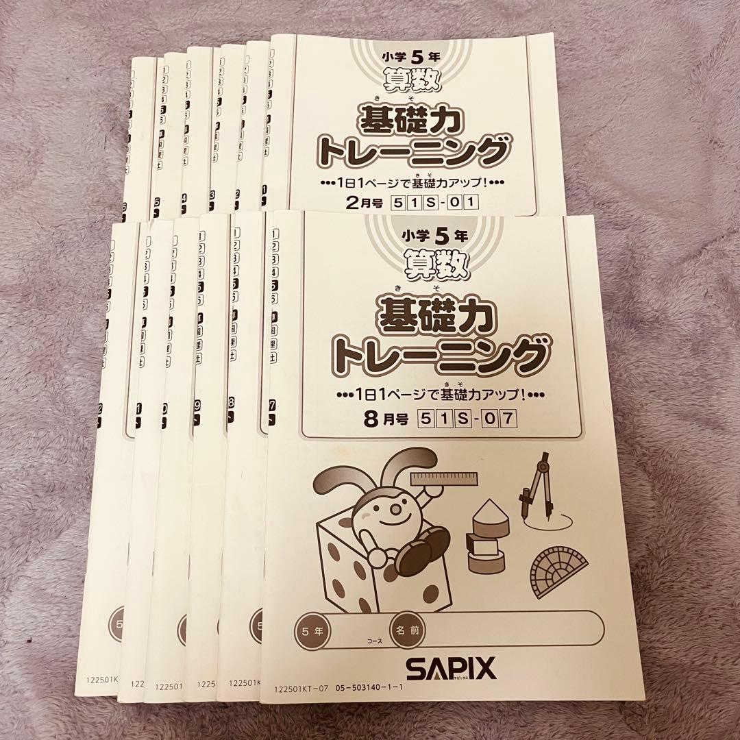SAPIX 算数 基礎力トレーニング 小5 全12ヶ月セット