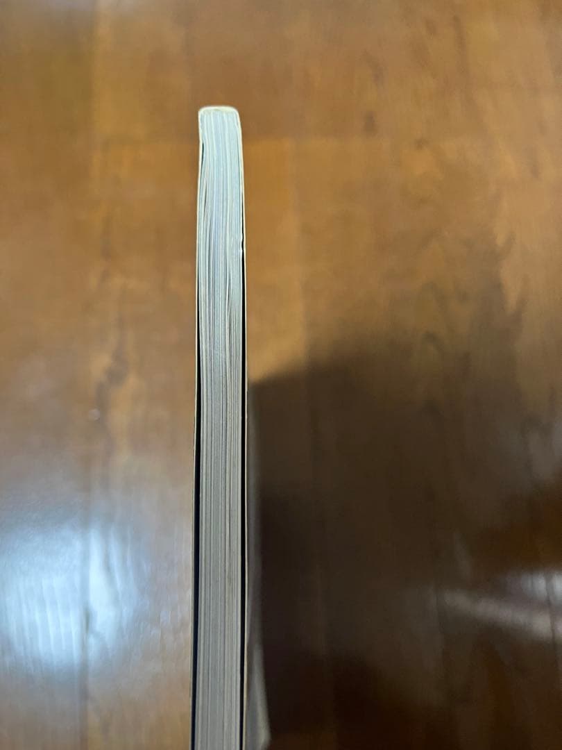 アート・デザイン・音楽 a+u 513 Pezo von Ellrichshausen