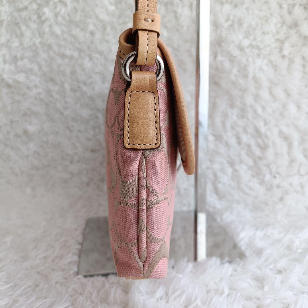 【美品希少色】コーチ ワンショルダー シルバー金具 シグネチャー キャンバス