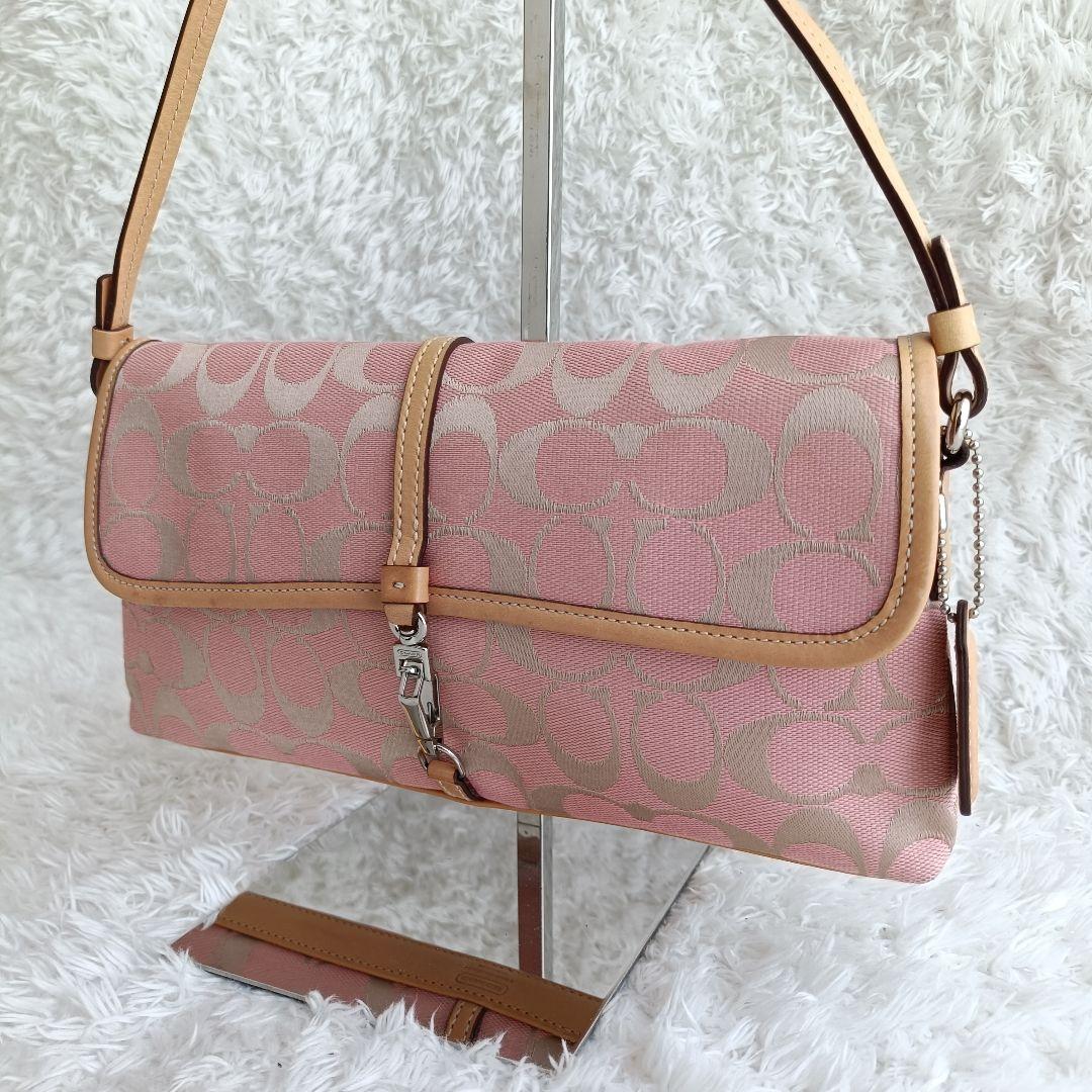 【美品希少色】コーチ ワンショルダー シルバー金具 シグネチャー キャンバス