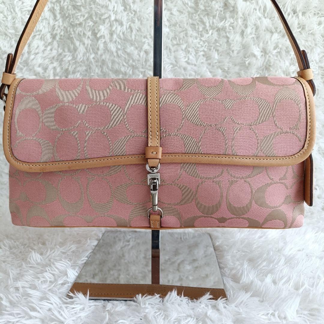 【美品希少色】コーチ ワンショルダー シルバー金具 シグネチャー キャンバス