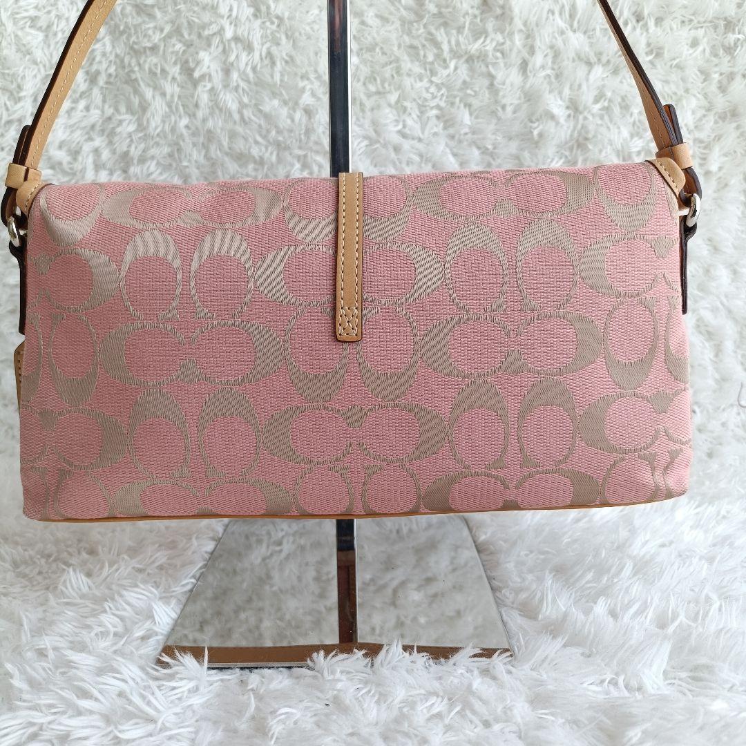 【美品希少色】コーチ ワンショルダー シルバー金具 シグネチャー キャンバス