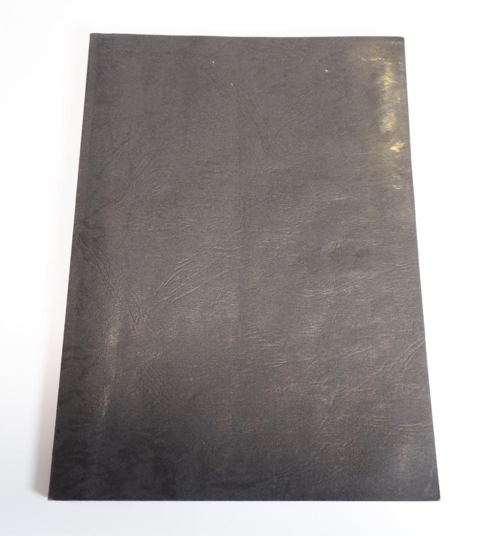 台本　ゴジラvsビオランテ　第三稿