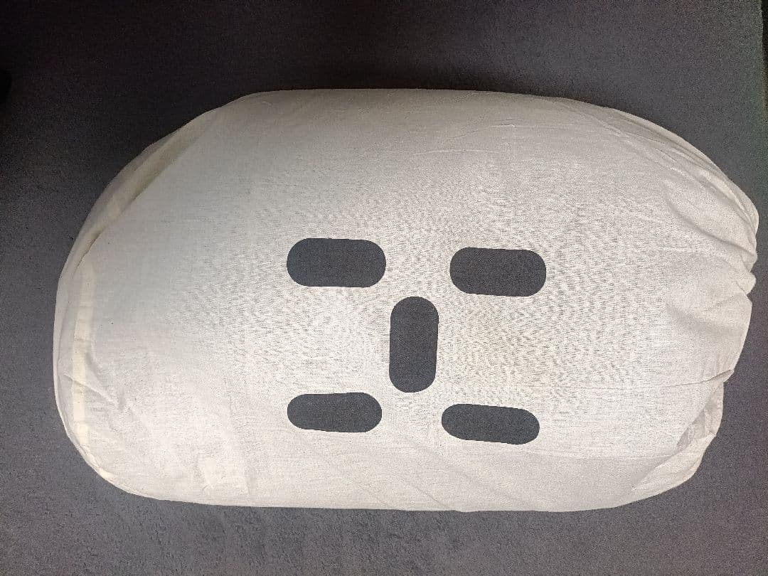 ホグロフス (Haglöfs)　 GOGA 2S　寝袋